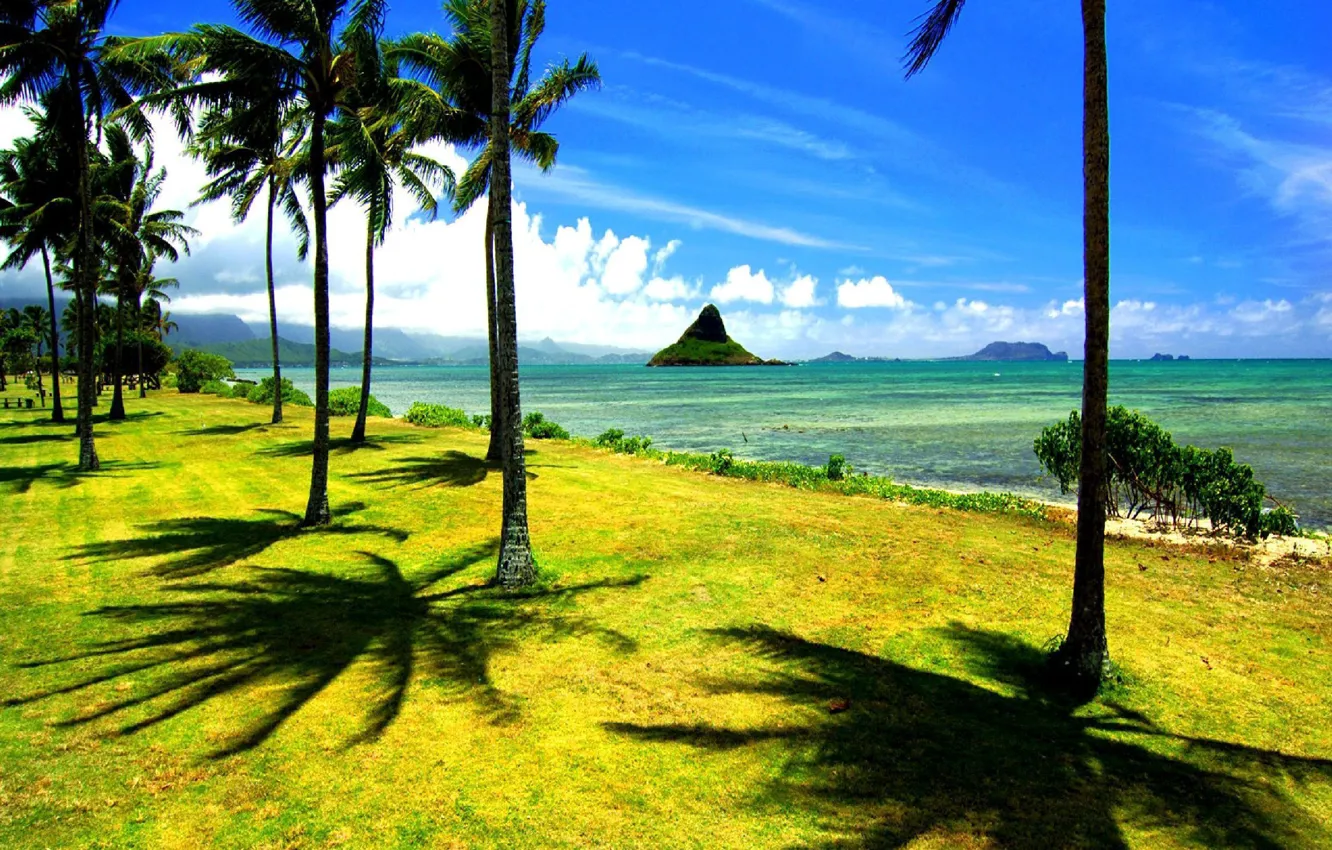 Фото обои пляж, пальмы, океан, берег