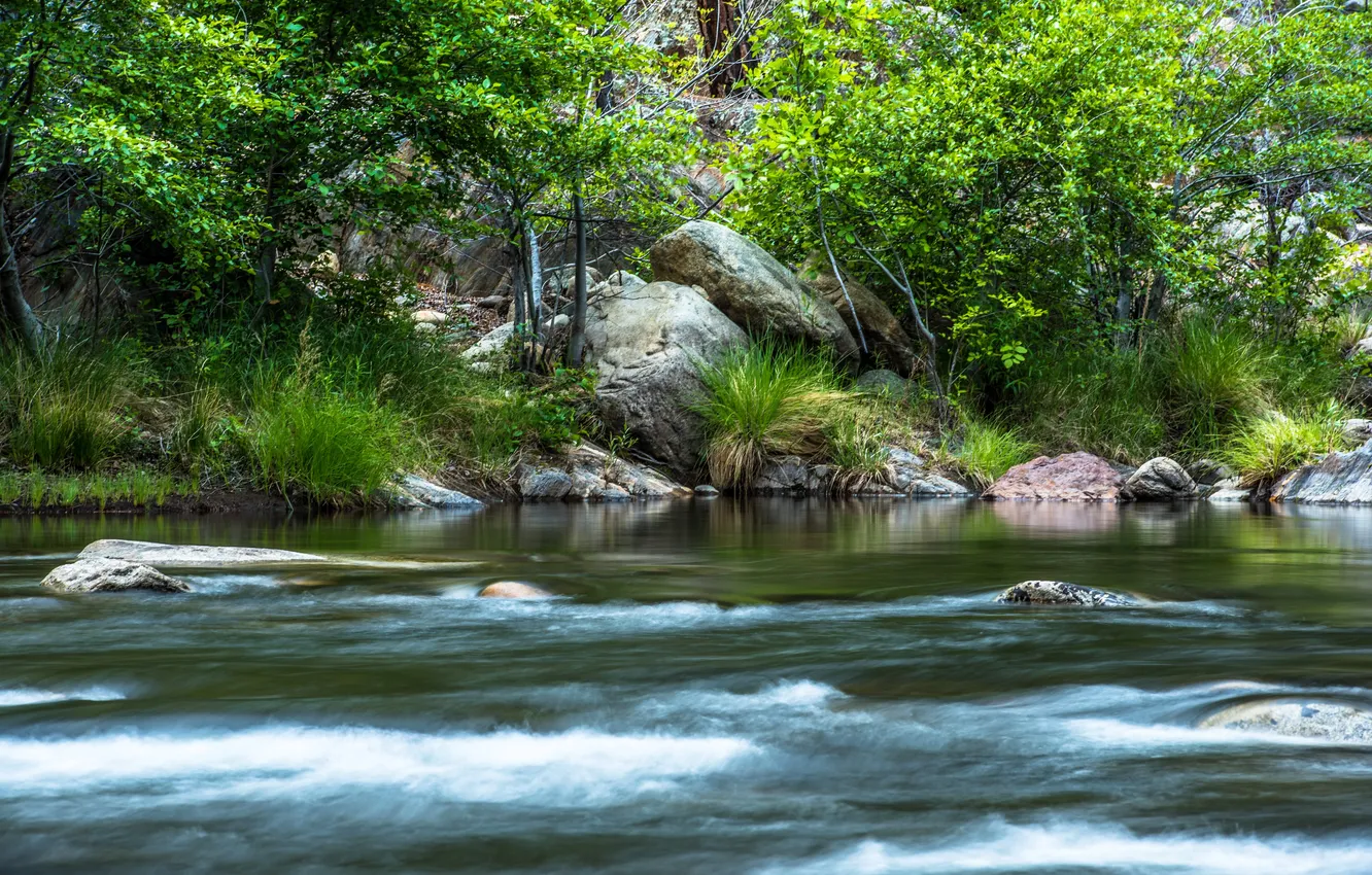 Фото обои деревья, река, камни, берег, течение, Калифорния, США, кусты