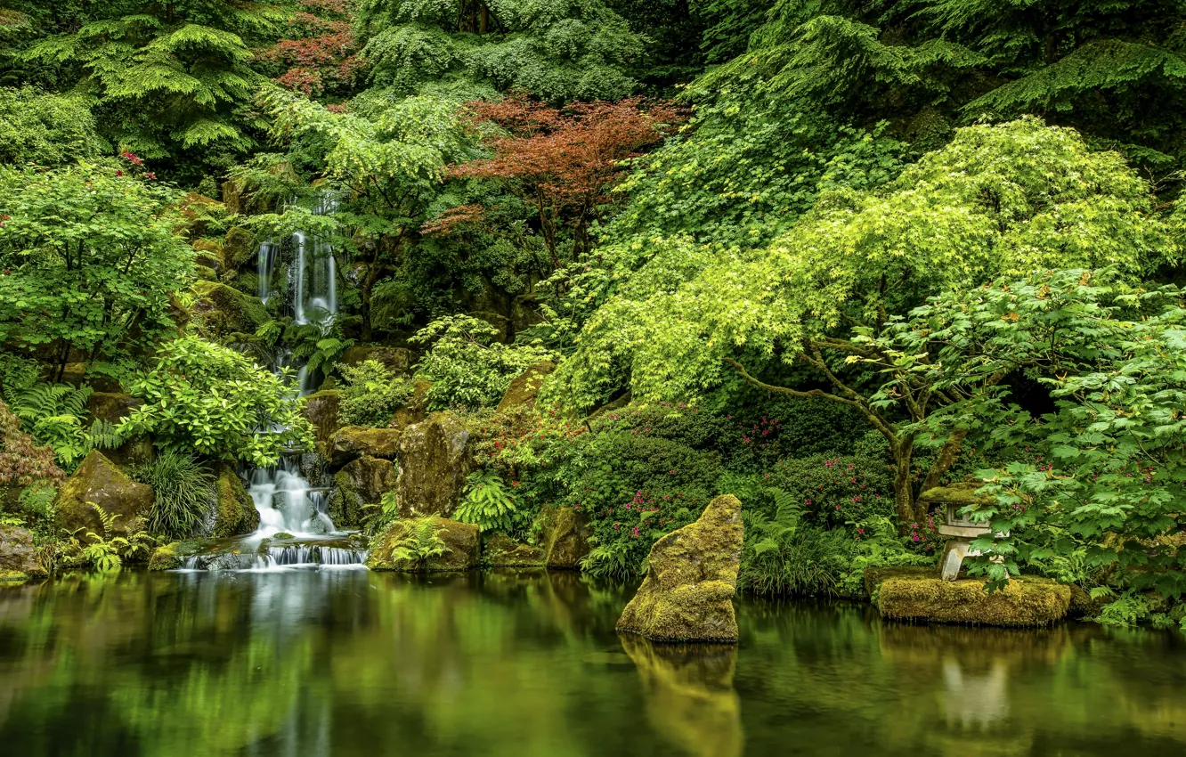 Фото обои деревья, озеро, камни, водопад, Орегон, Портленд, каскад, Oregon