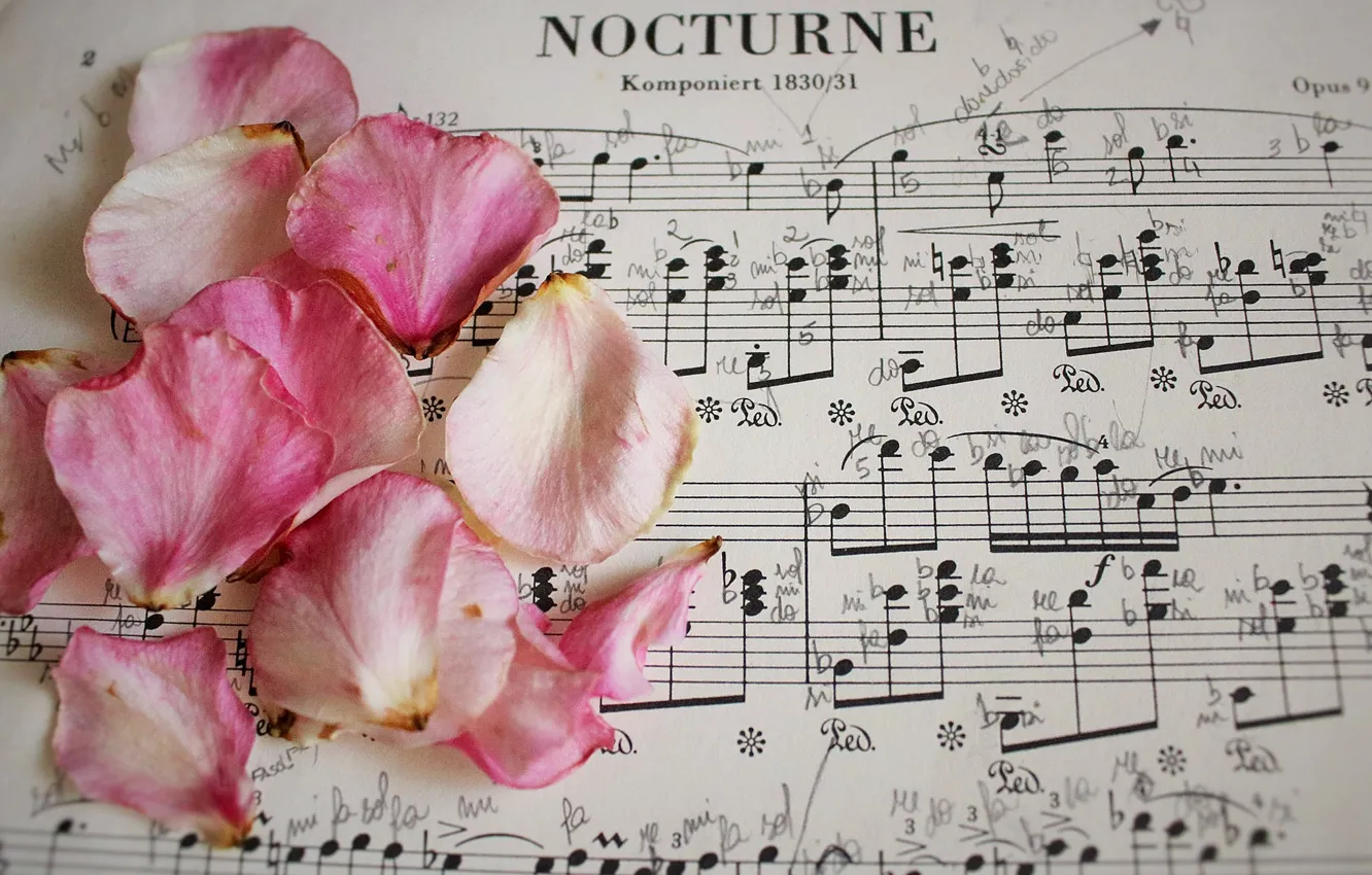 Фото обои ноты, музыка, розы, лепестки