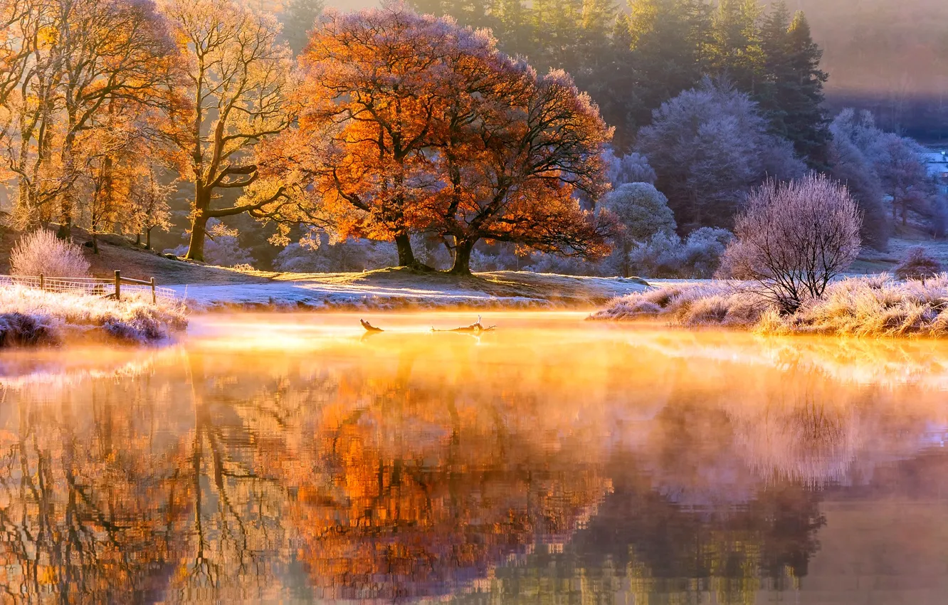 Фото обои иней, осень, свет, деревья, природа, река, утро, пар