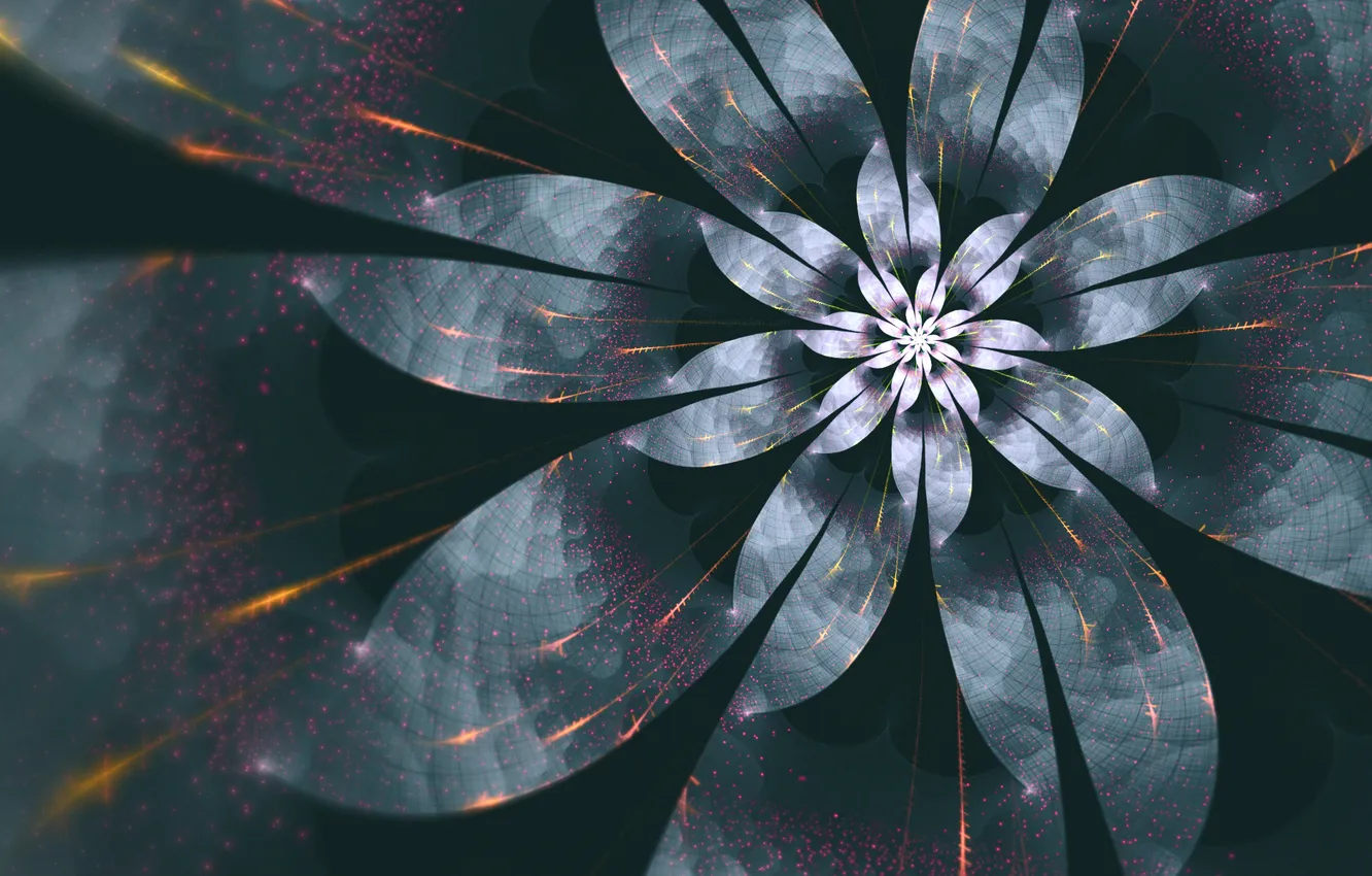 Фото обои цветок, свет, линии, спираль, лепестки
