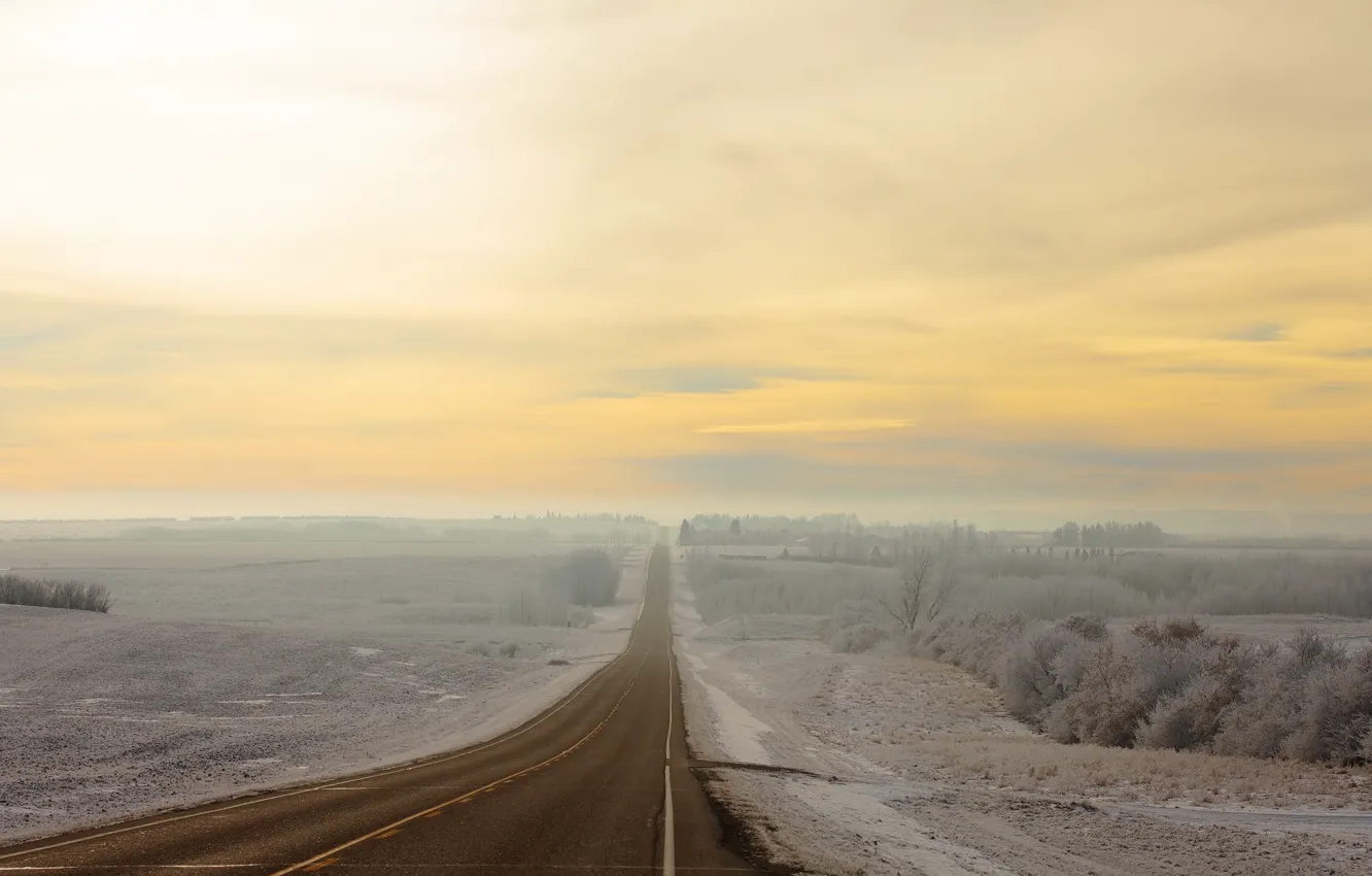 Фото обои зима, дорога, поле, природа, туман, утро