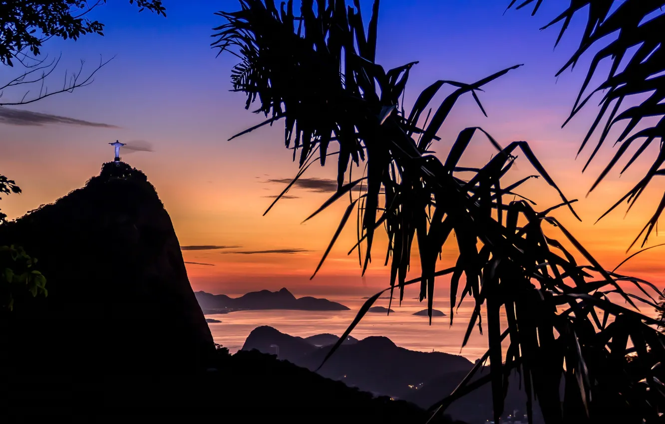Фото обои море, небо, пальма, статуя, Рио-де-Жанейро, Rio de Janeiro