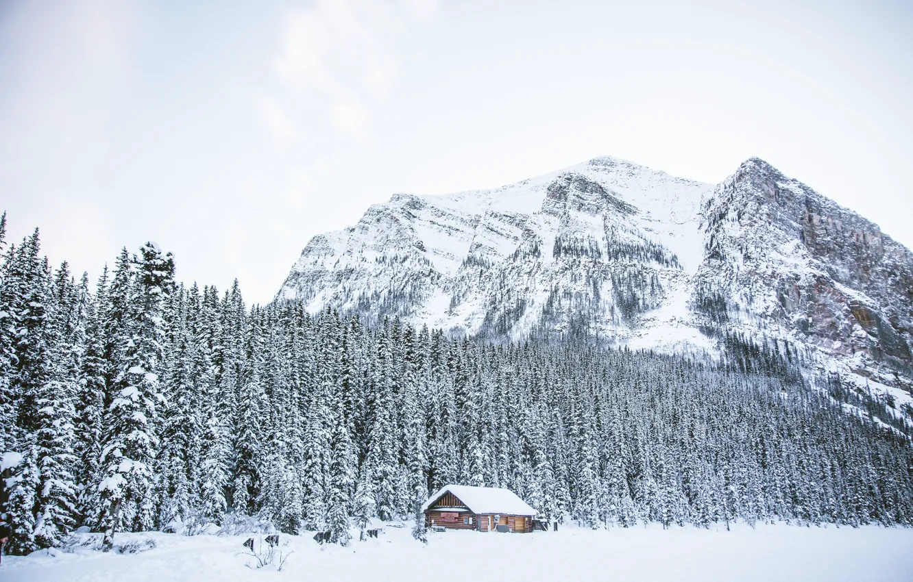 Фото обои зима, лес, снег, деревья, горы, озеро, house, хижина
