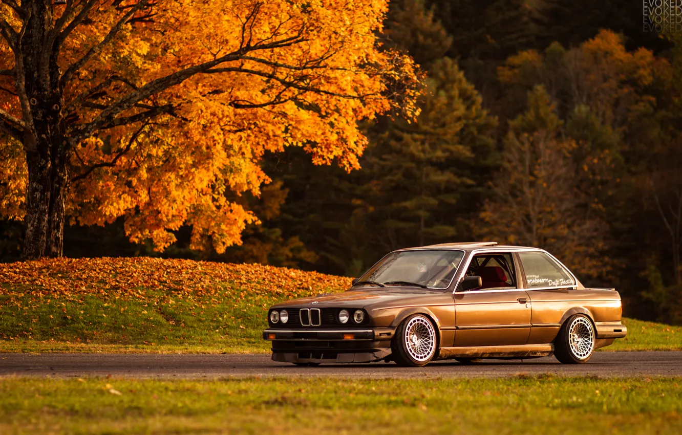 Фото обои осень, свет, дерево, листва, BMW, e30, 325si