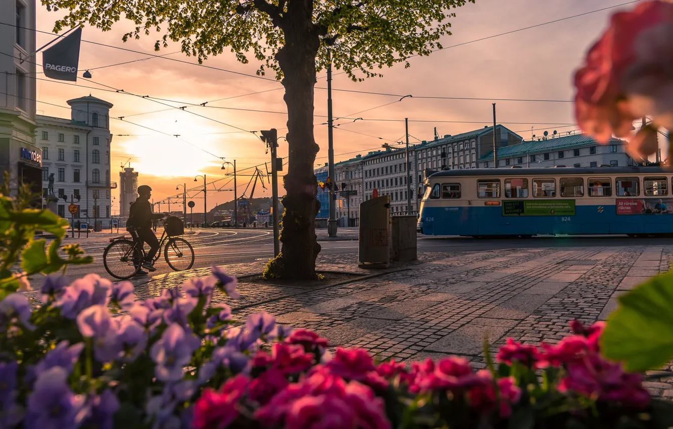 Фото обои город, здания, дома, вечер, трамвай, велосипедист, Швеция, Гётеборг
