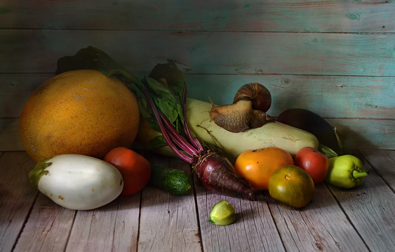 Фото обои стол, урожай, огурец, баклажан, натюрморт, овощи, томат, дыня