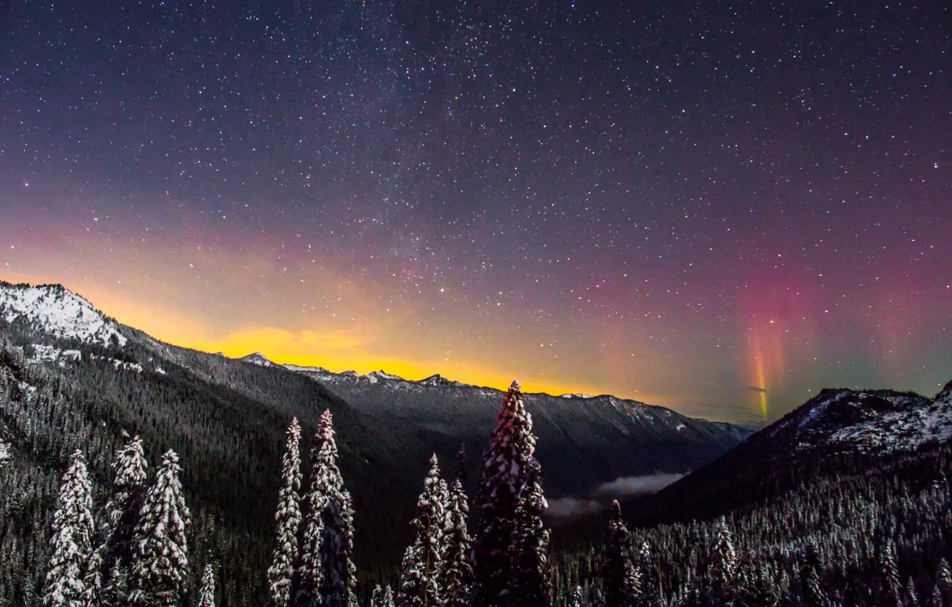 Фото обои зима, лес, звезды, снег, горы, Rainier National Park