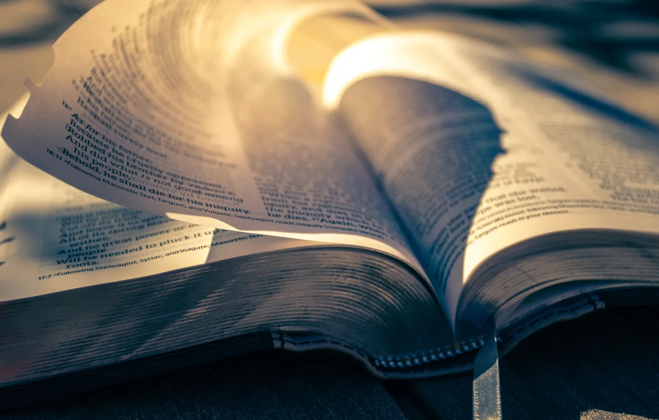 Фото обои Love, Christian, God, Bible, Sunlight, Jesus, Timothy Eberly, Holy Bible