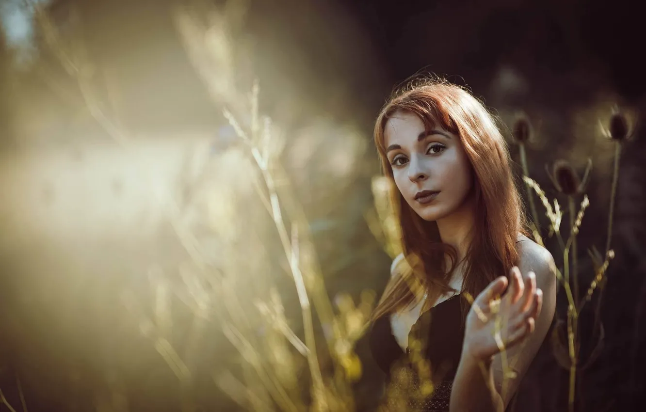 Фото обои взгляд, девушка, природа, фон, стебли, рука, портрет, шатенка