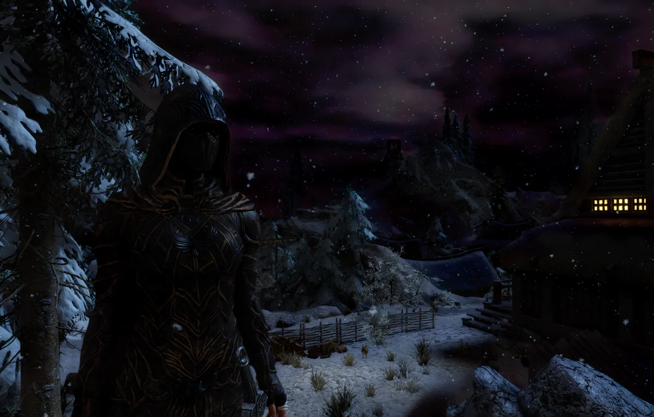 Фото обои game, skyrim, Nightingale, nigth