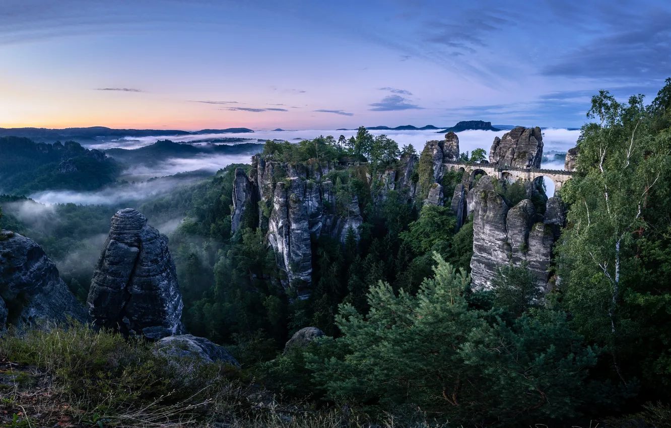 Фото обои лес, горы, скалы, вид, высота, даль, Эльбские Песчаниковые горы