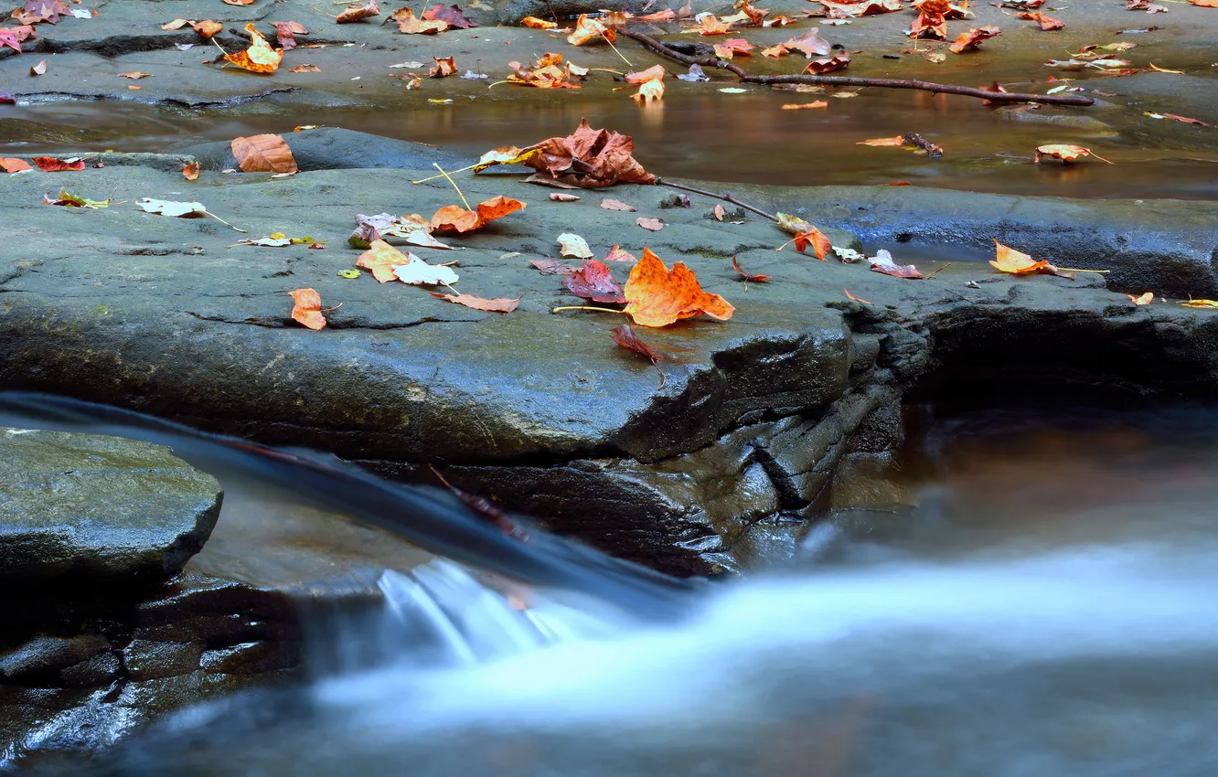Фото обои осень, листья, скала, река, ручей, камни