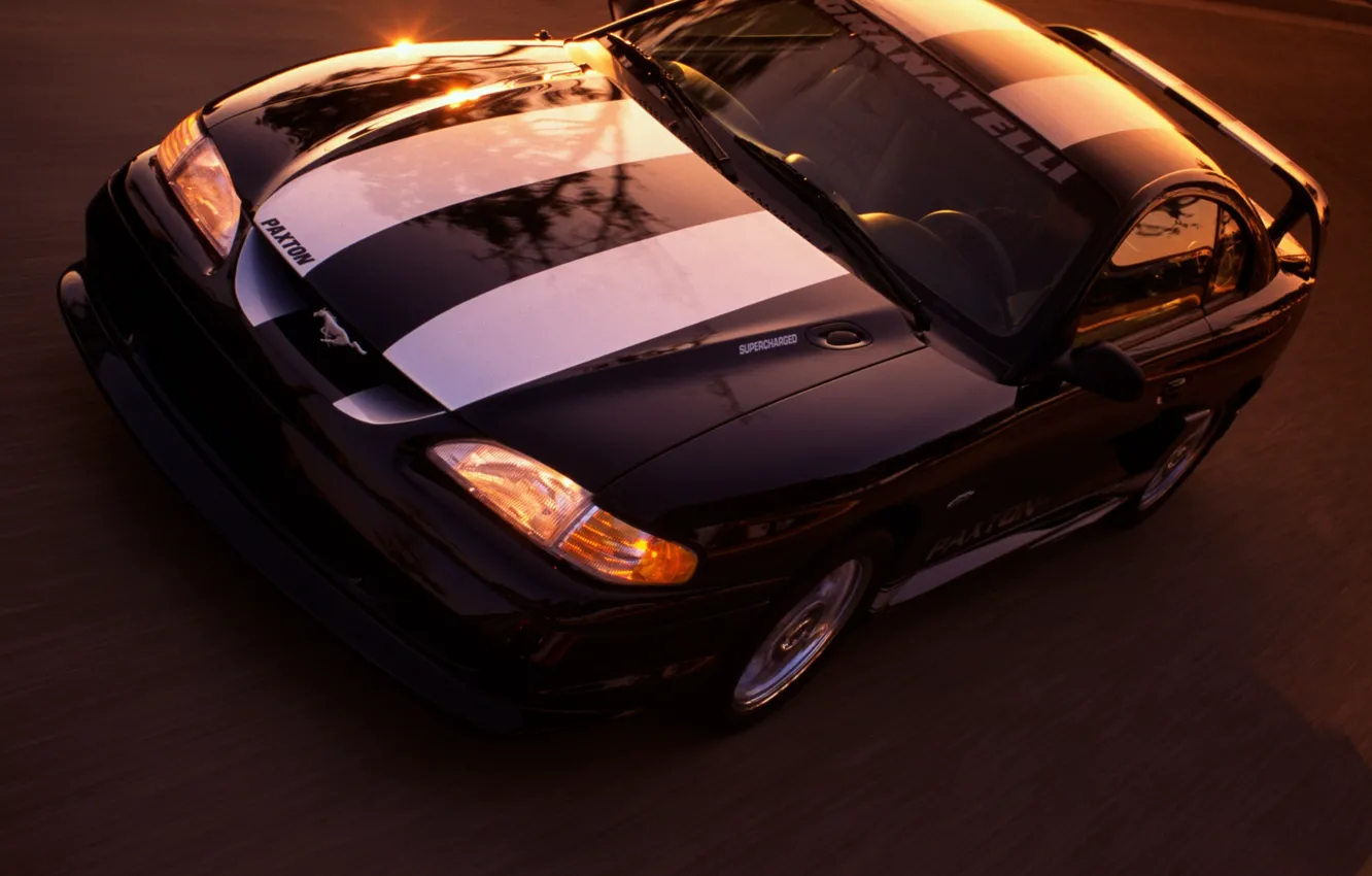 Фото обои авто, полосы, тюнинг, Mustang, Ford, SVT cobra