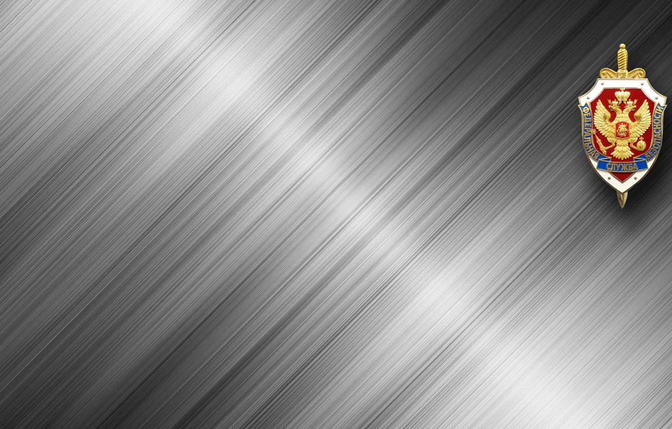 Фото обои металл, фон, обои, сталь, серебро, silver, герб, background