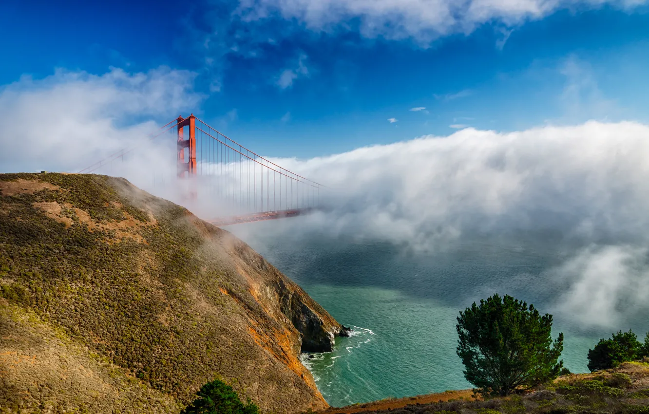 Фото обои облака, мост, туман, Калифорния, Сан-Франциско, золотые ворота