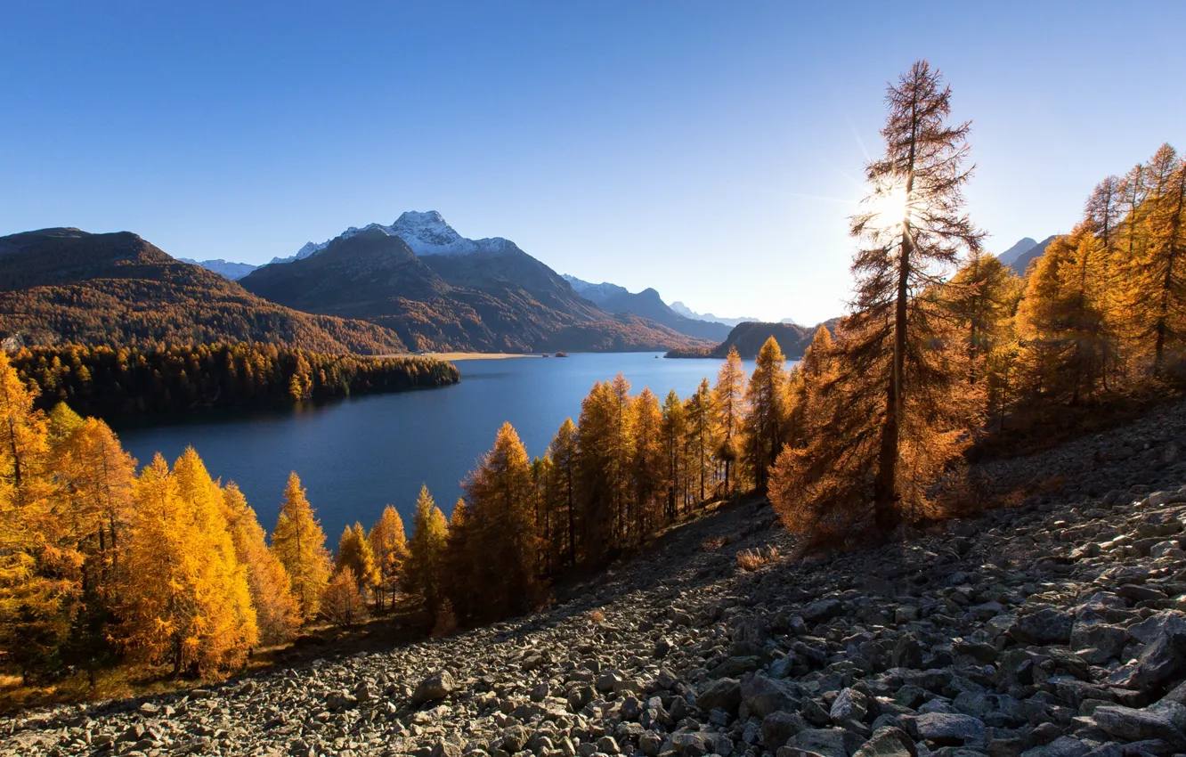 Фото обои осень, деревья, горы, озеро, Швейцария, Альпы, Switzerland, Alps