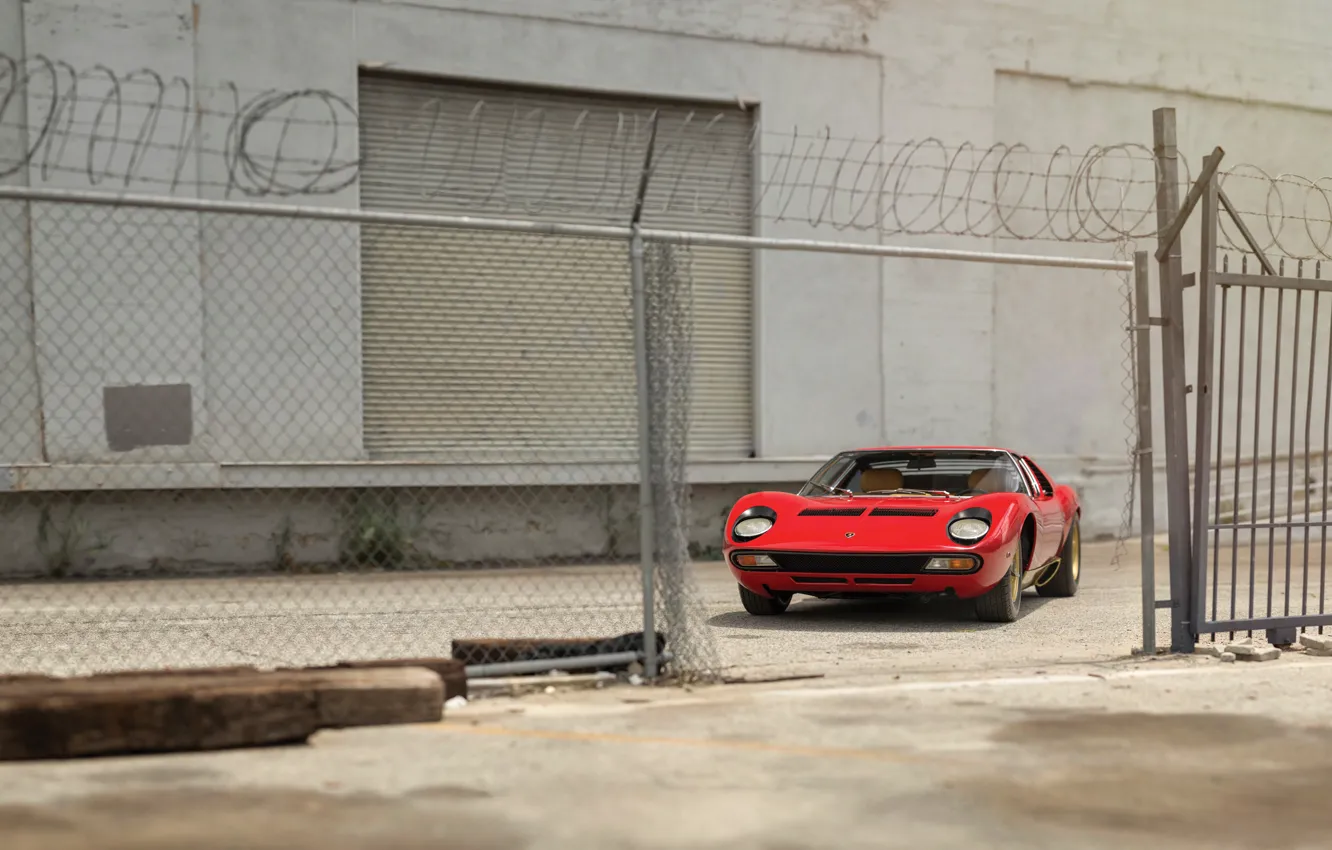 Фото обои Lamborghini, 1971, classic, Miura, Lamborghini Miura P400 SV