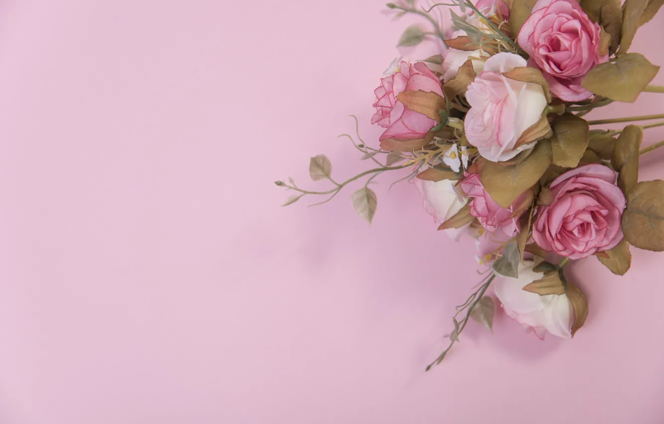 Фото обои цветы, розы, розовые, бутоны, pink, flowers, roses