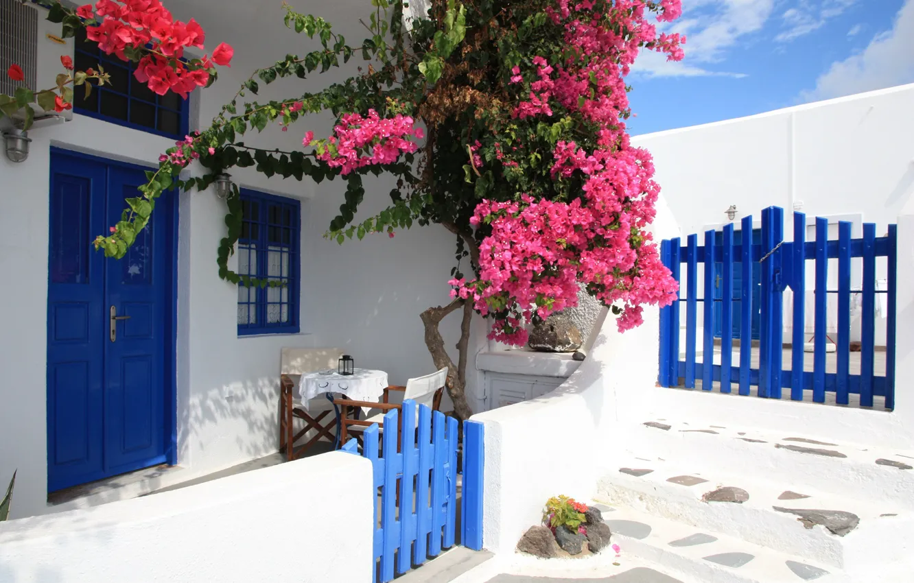 Фото обои Цветы, ворота, Санторини, Греция, Дом, калитка, Flowers, Santorini