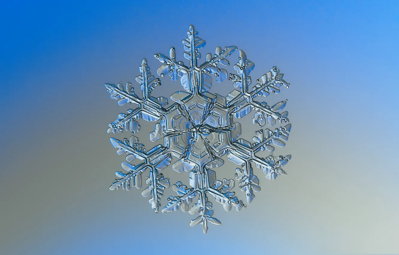 Фото обои лед, зима, узор, снежинка, симметрия