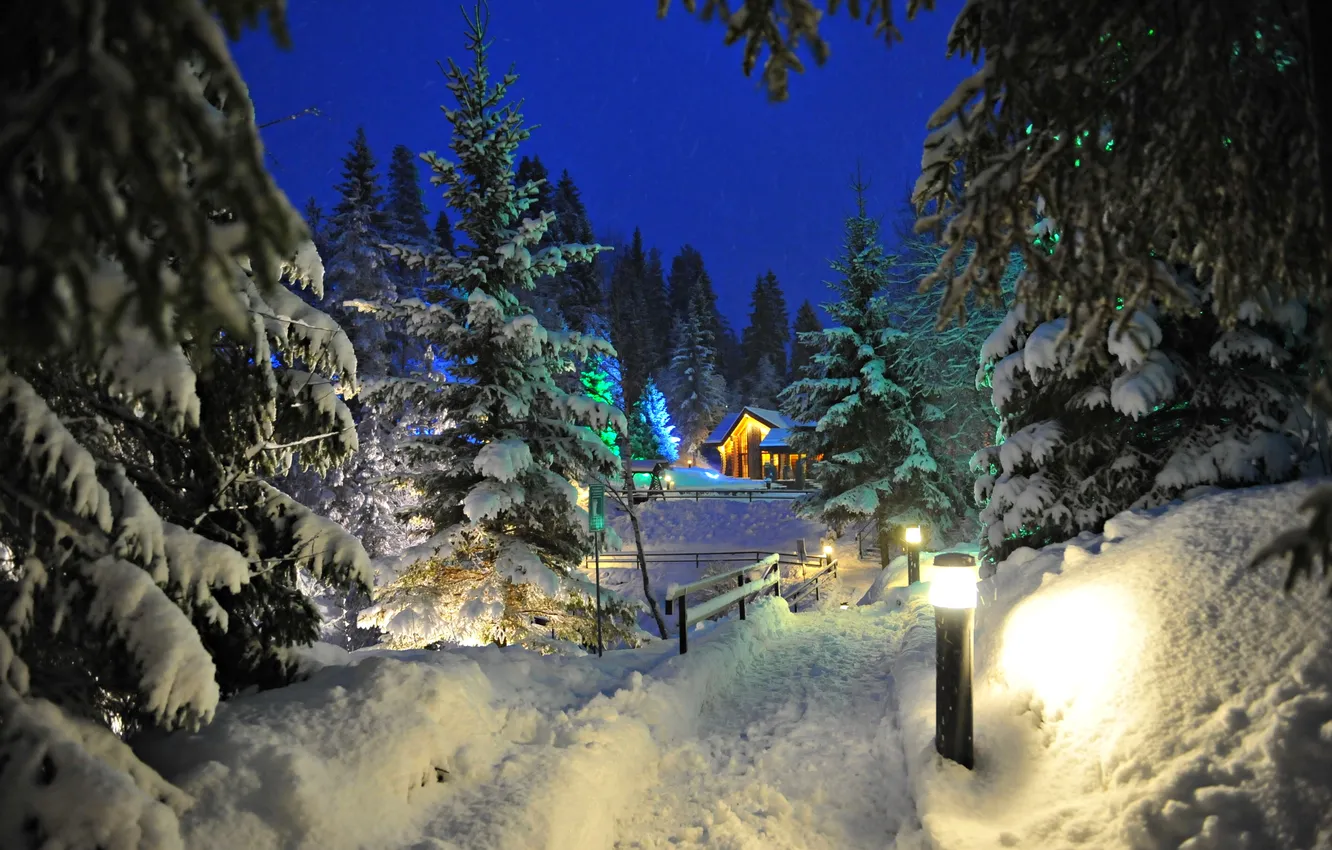Фото обои Зима, Вечер, Winter, Evening, Карелия, Karelia, Snow Trees, Снежные Деревья