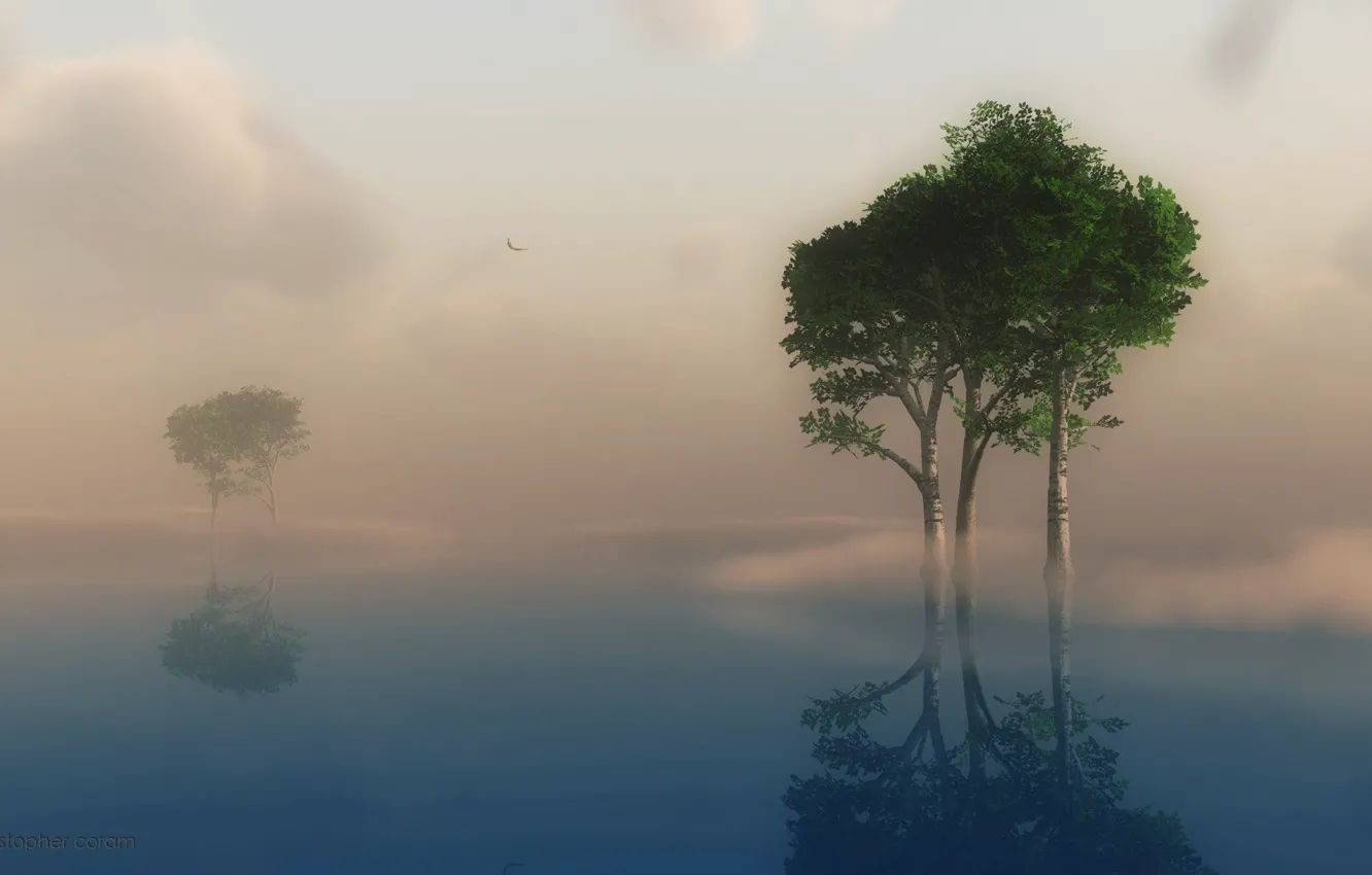 Фото обои небо, облака, деревья, пейзаж, природа, туман, озеро