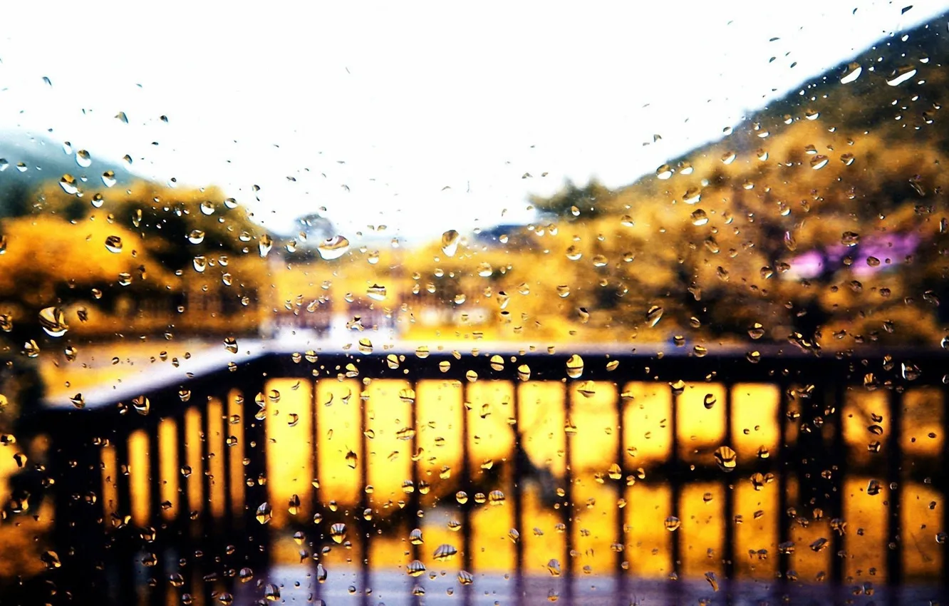 Фото обои осень, стекло, капли, дождь