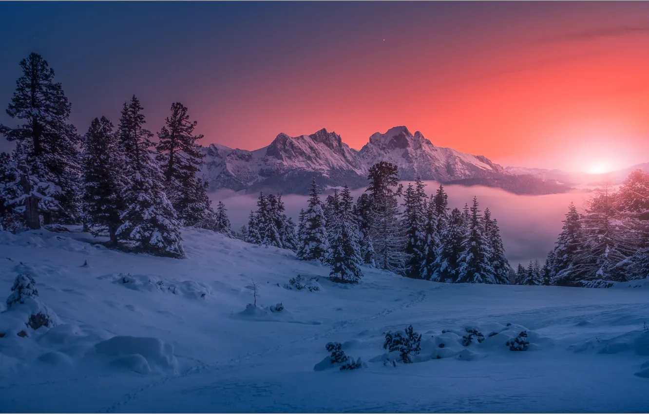 Фото обои зима, снег, деревья, пейзаж, закат, горы, природа, сугробы