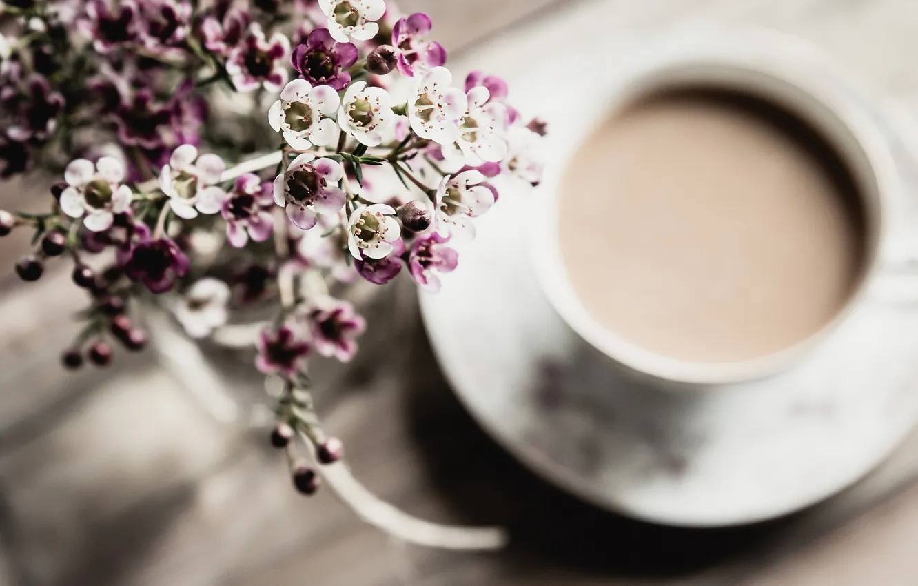 Фото обои цветы, кофе, лепестки, кружка, чашка