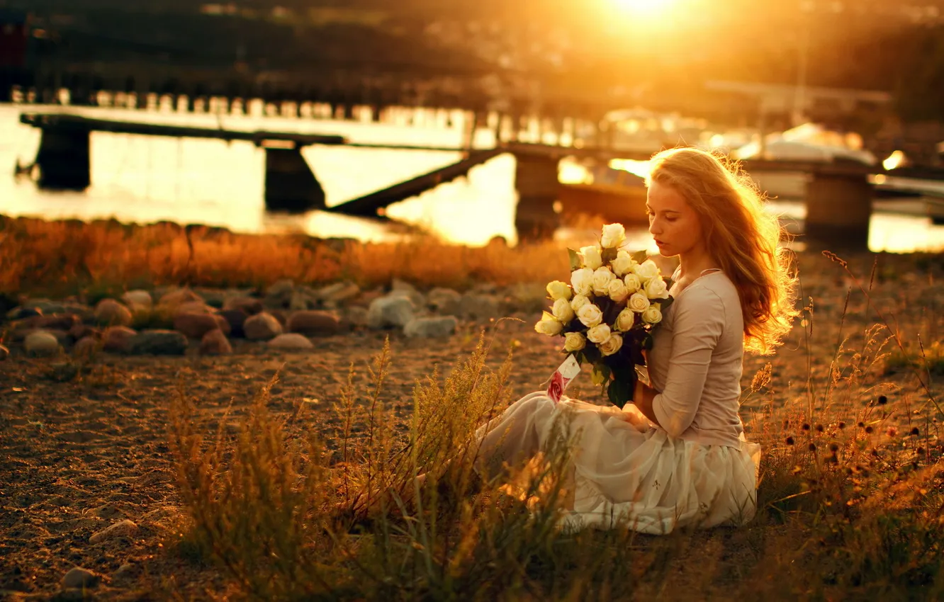 Фото обои девушка, свет, закат, розы