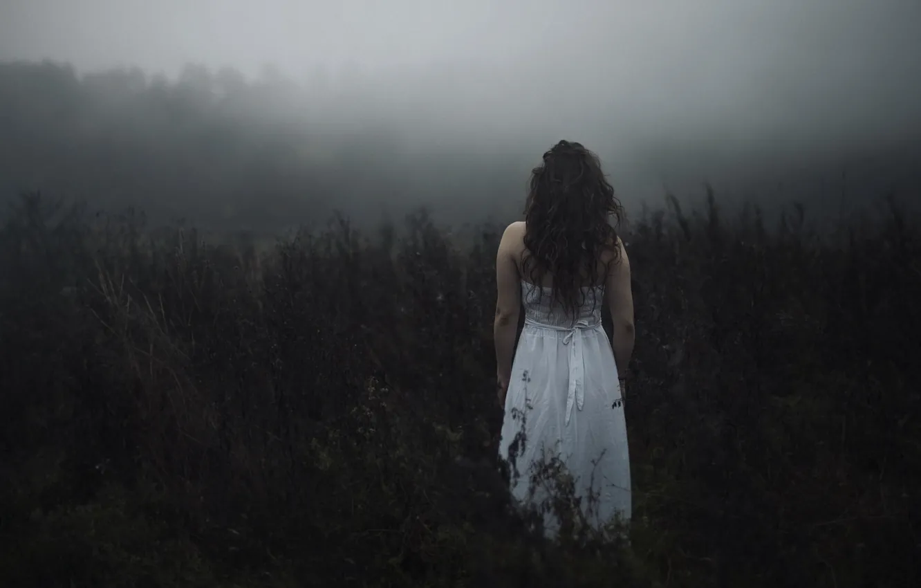 Фото обои поле, лес, девушка, ветки, туман, настроение, заросли, белое