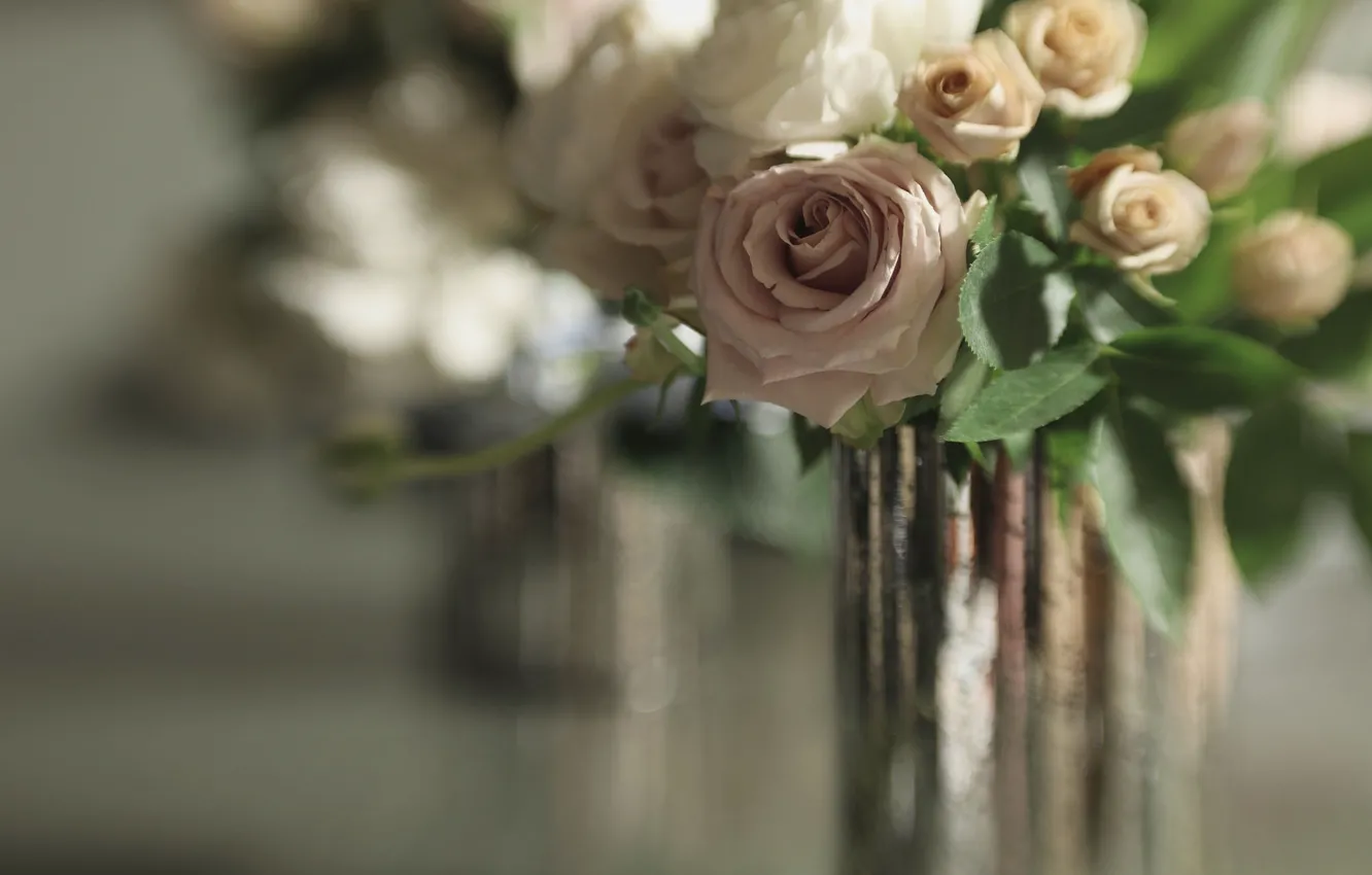 Фото обои розы, букет, боке