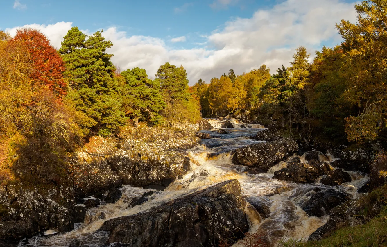 Фото обои осень, лес, солнце, облака, деревья, река, камни, Шотландия