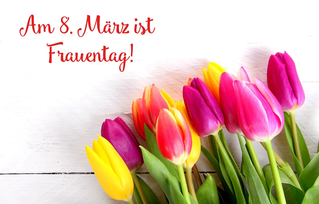 Фото обои цветы, праздник, букет, тюльпаны, 8 марта, женский день