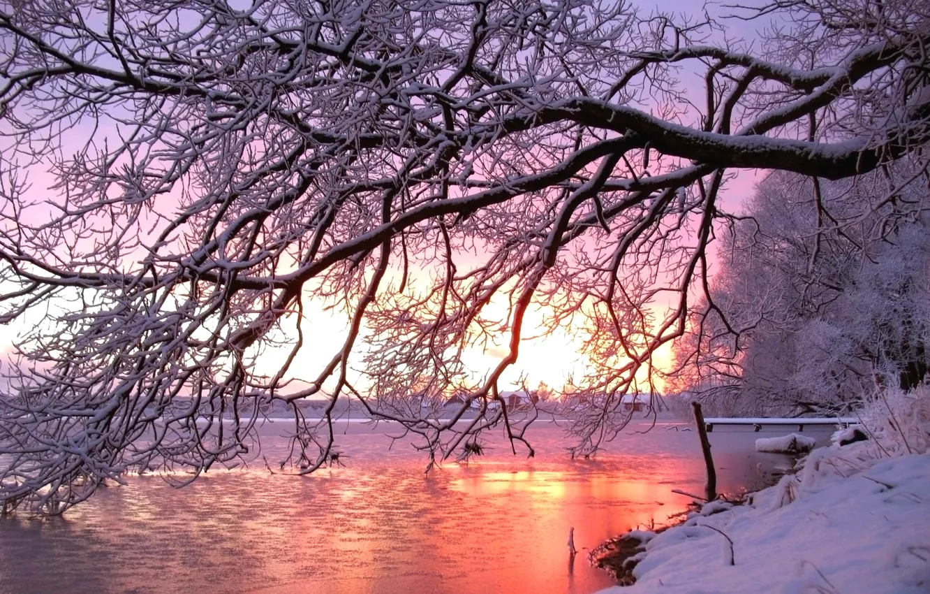 Фото обои зима, снег, закат, река, дерево