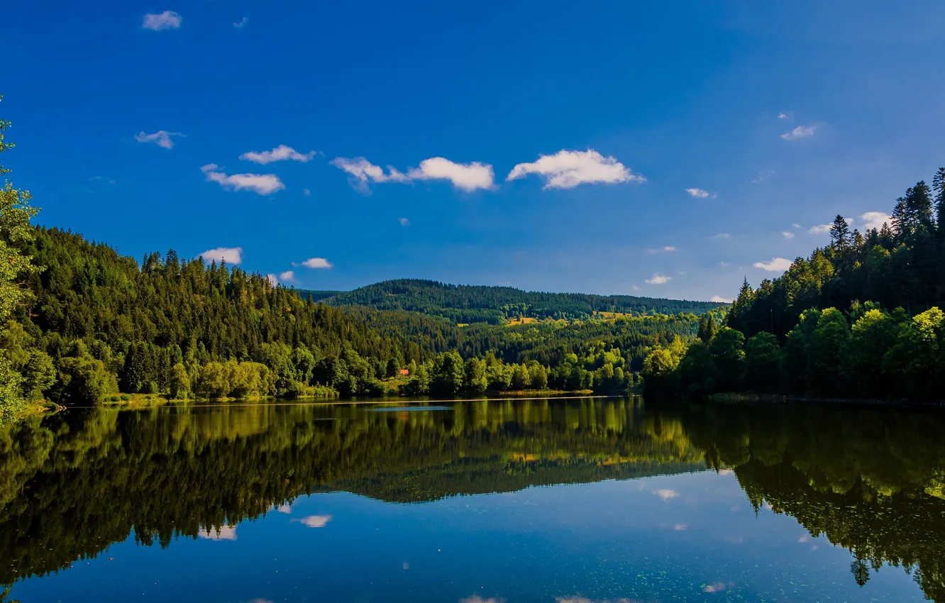 Фото обои лес, озеро, отражение, Германия, Germany, Баден-Вюртемберг, Baden-Württemberg, озеро Альбштау