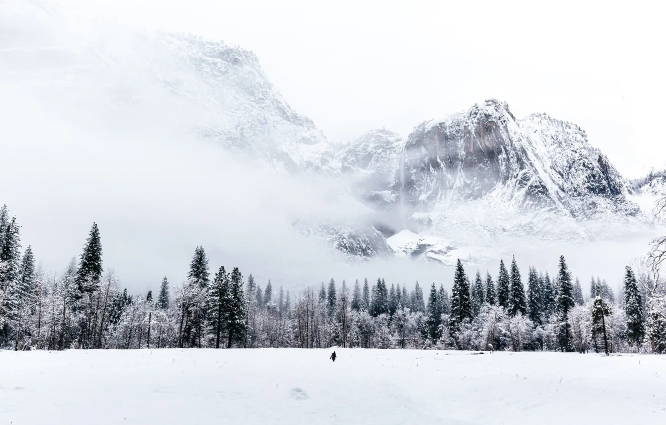 Фото обои зима, лес, снег, деревья, человек, Горы, метель