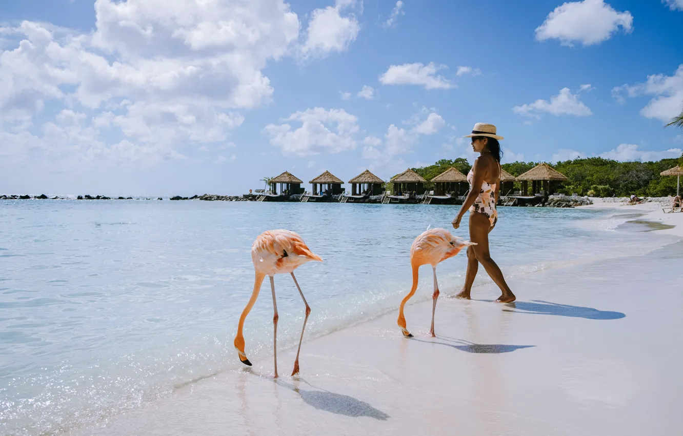 Фото обои Море, Пляж, Девушка, Beach, Фламинго, Карибское море, Aruba, Аруба