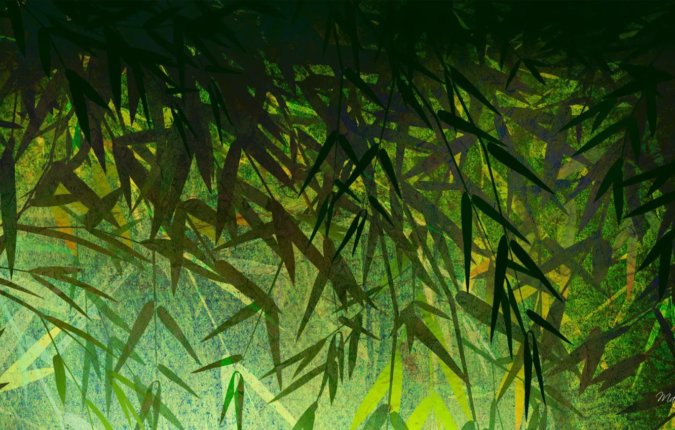 Фото обои Листья, Бамбук, Текстура, Bamboo, Texture, Leaves, Green Background, Зеленый Фон