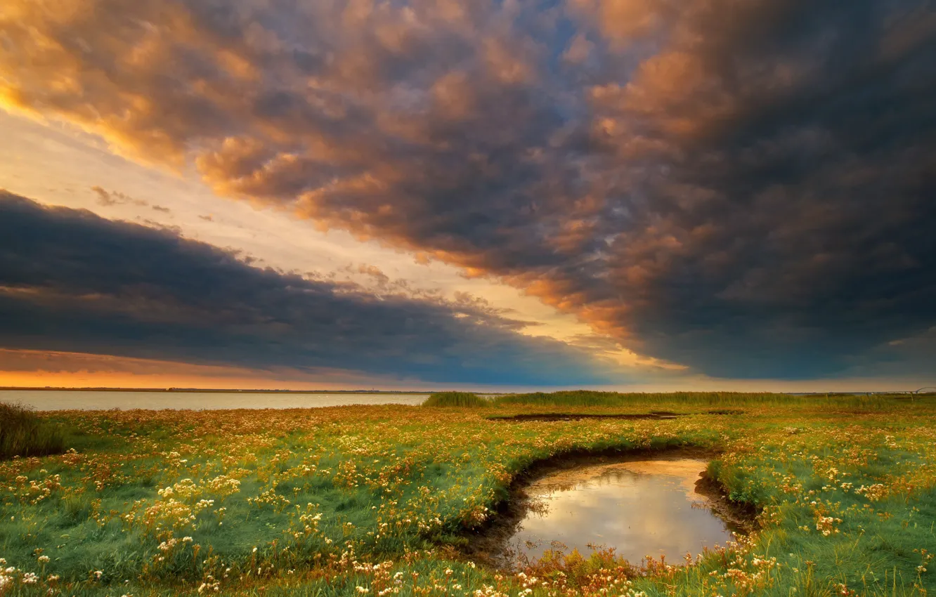 Фото обои поле, лето, небо, трава, облака, цветы, тучи, река