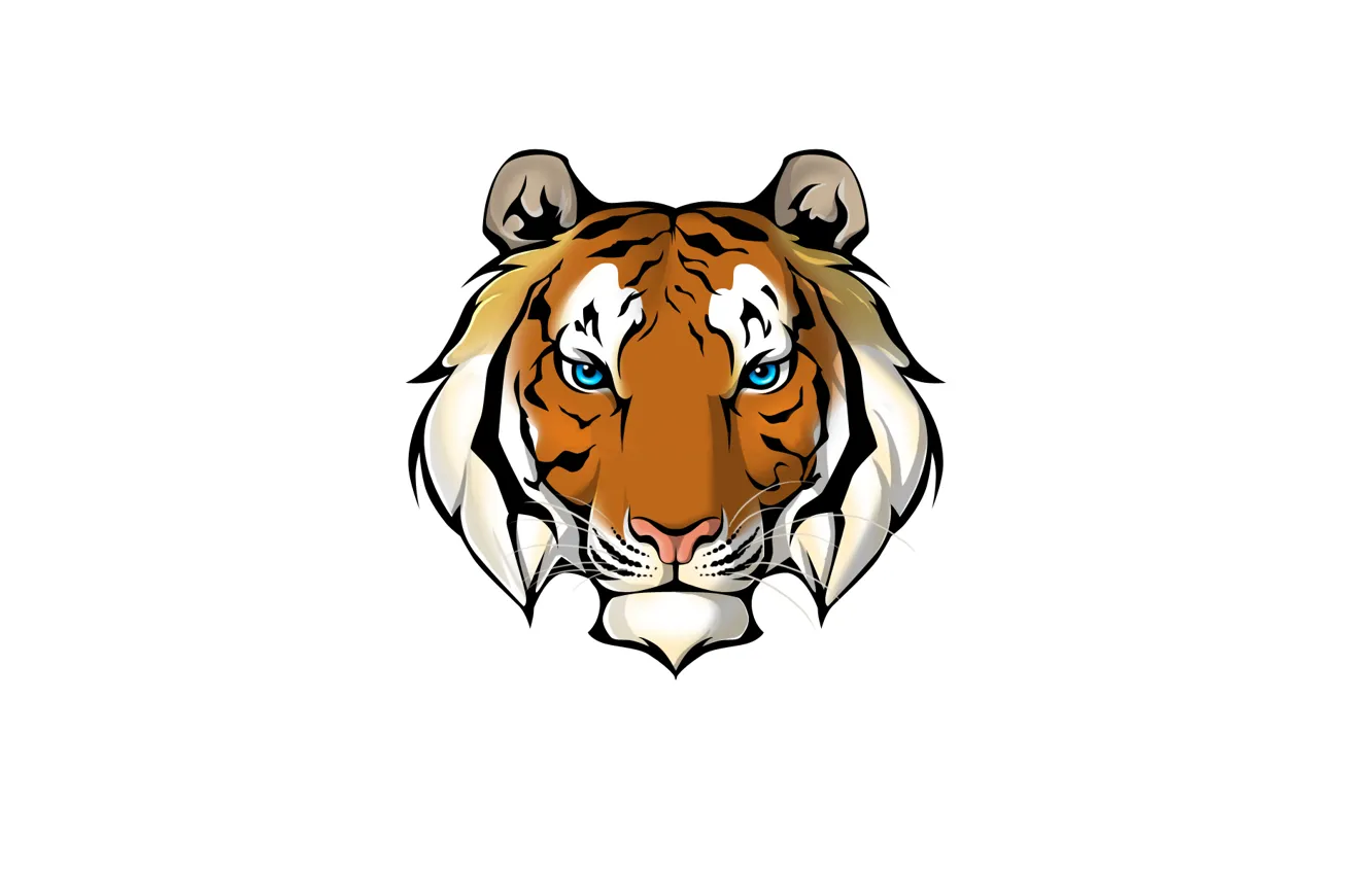 Фото обои морда, тигр, минимализм, белый фон, tiger