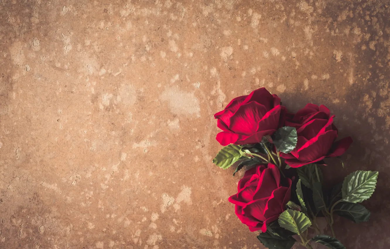 Фото обои цветы, розы, букет, красные, red, бутоны, flowers, romantic