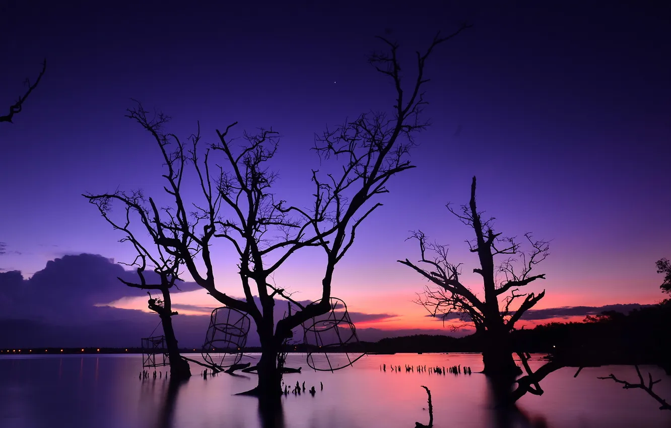 Фото обои деревья, ночь, озеро