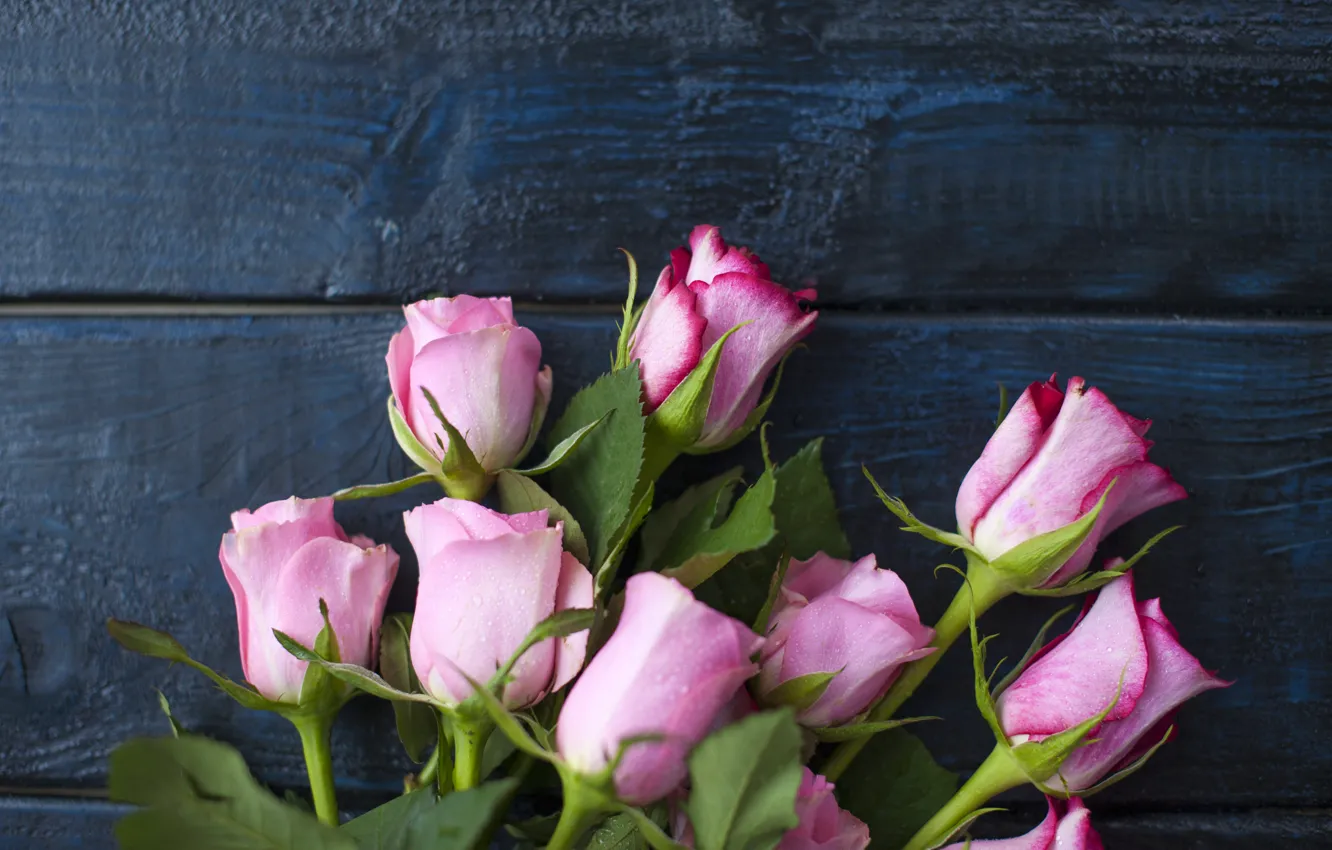 Фото обои букет, розовые, bouquet, roses