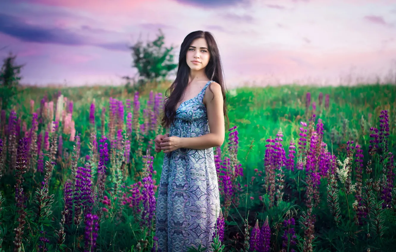 Фото обои поле, взгляд, девушка, цветы, природа, люпины