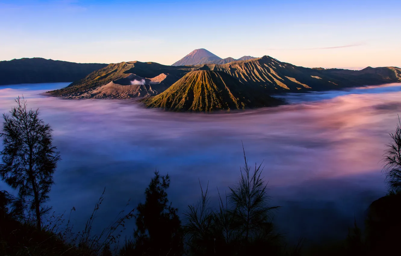 Фото обои трава, туман, остров, утро, Индонезия, силуэты, Ява, Tengger