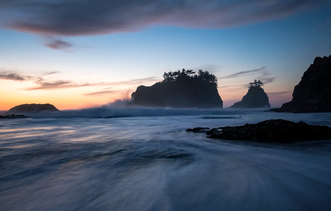 Фото обои море, небо, деревья, синева, камни, океан, скалы, побережье