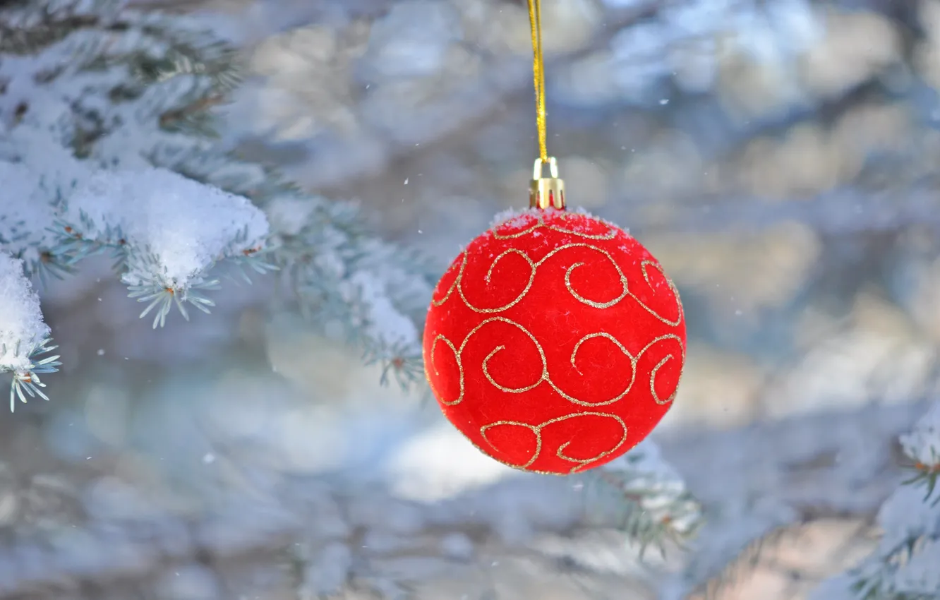 Фото обои снег, праздник, ель, шарик, украшение